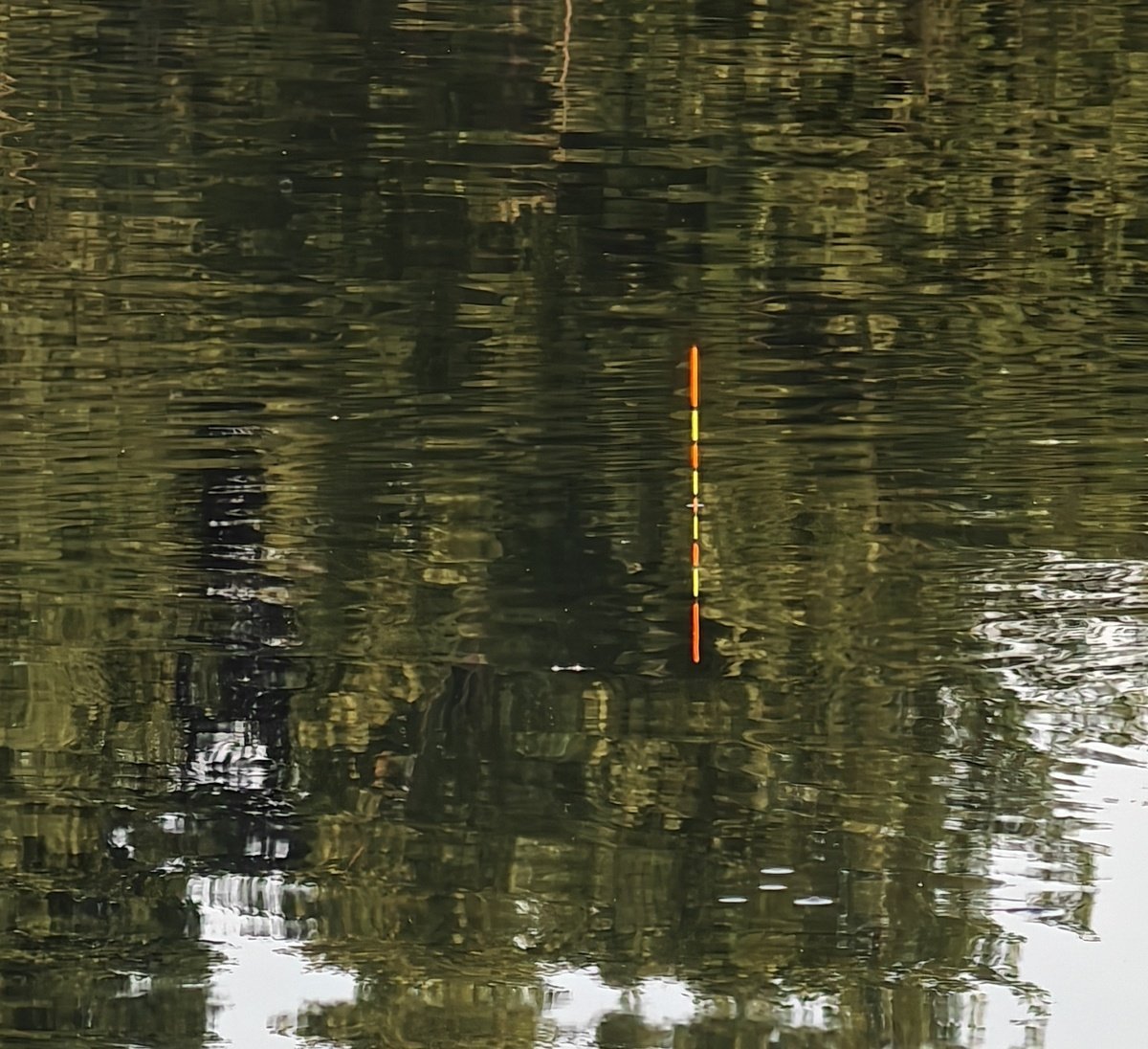 scale_1200 (13).jpg
