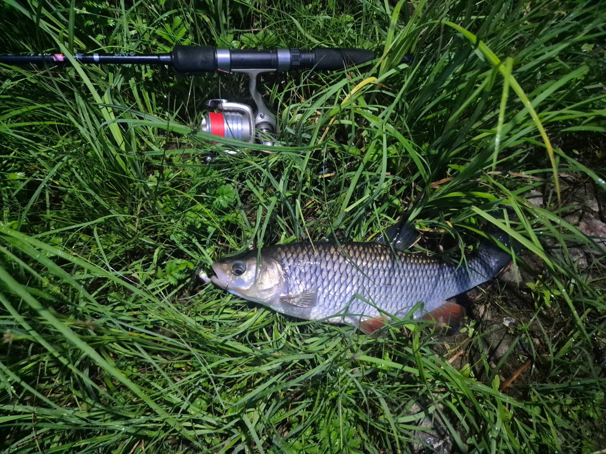 20260609_230014.jpg