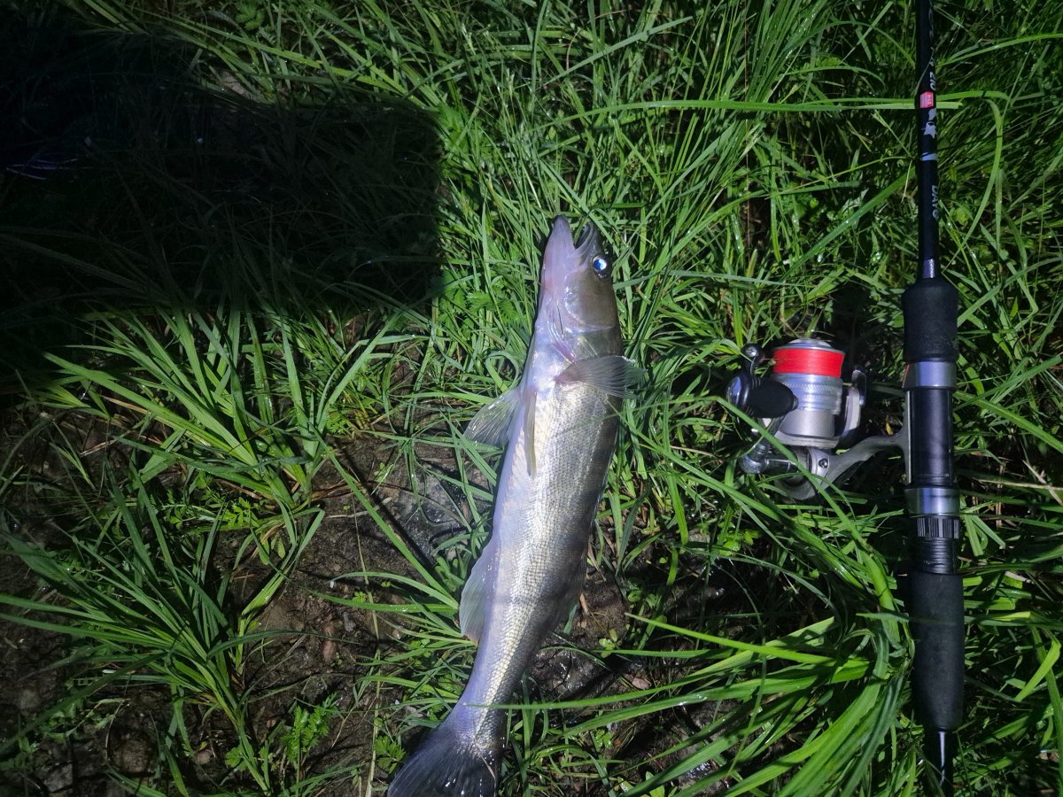 20260609_230430.jpg