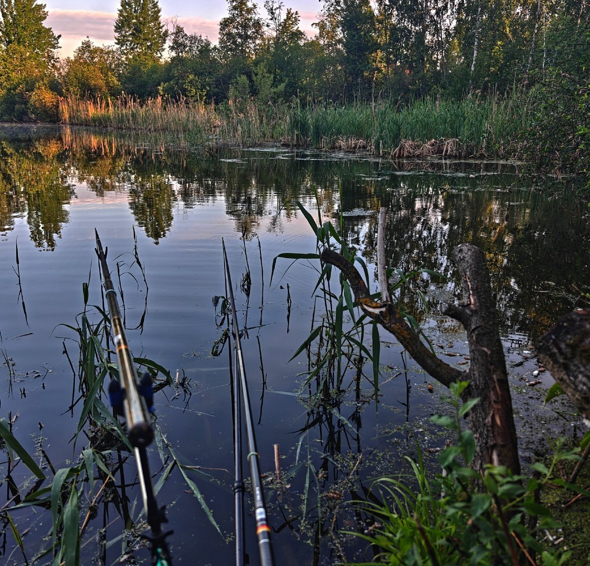 scale_1200 (33).jpg
