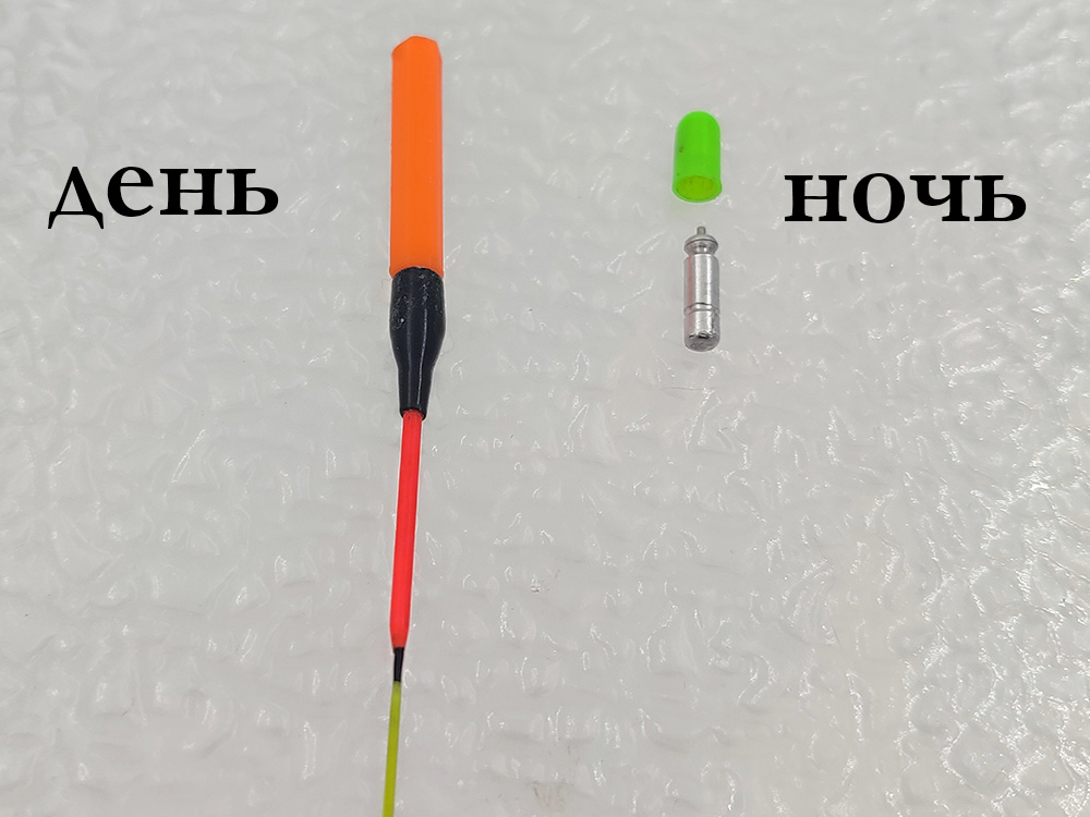 scale_1200 (8).png