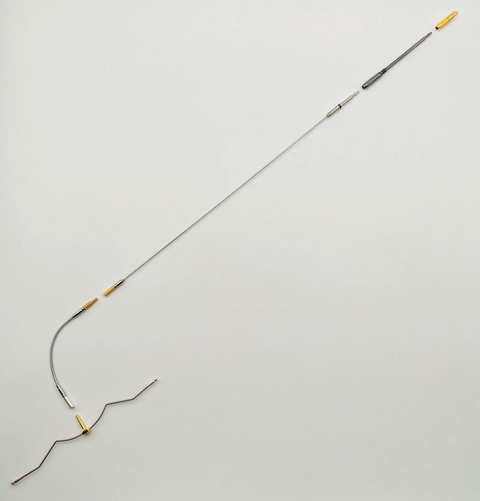 scale_1200 (7).jpg