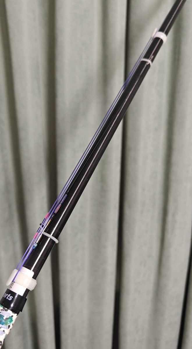 scale_1200 (13).jpg