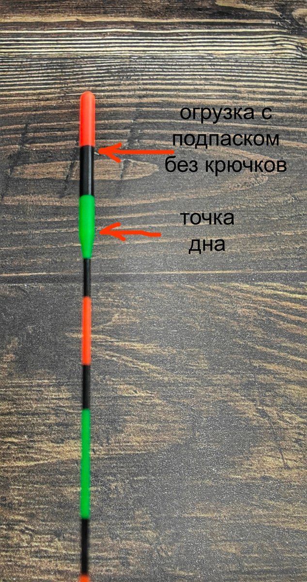 scale_1200 (3).jpg
