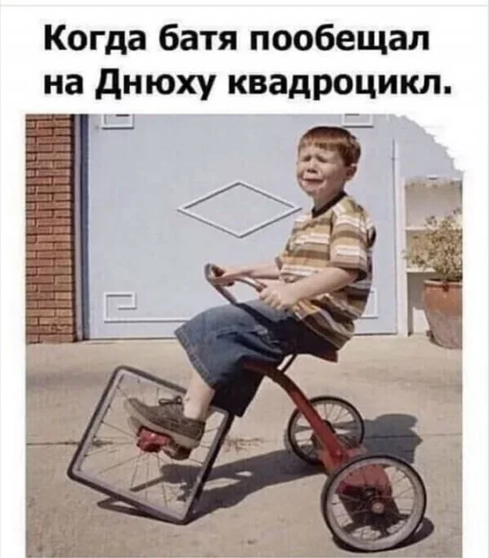 4gvx2frd.webp.5df79539ff571edb1f2b280a8e5b815c.webp