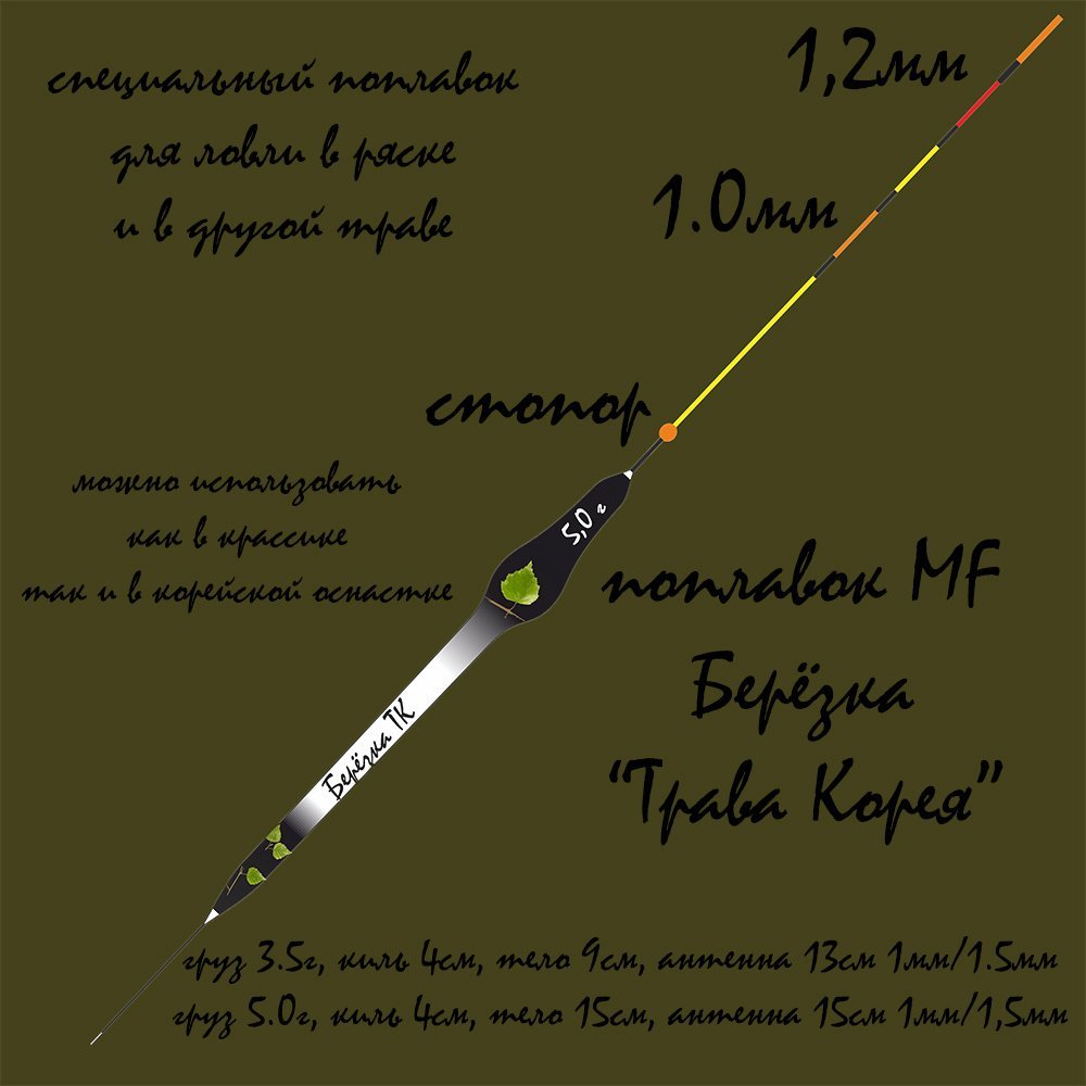 scale_1200 (88).jpg