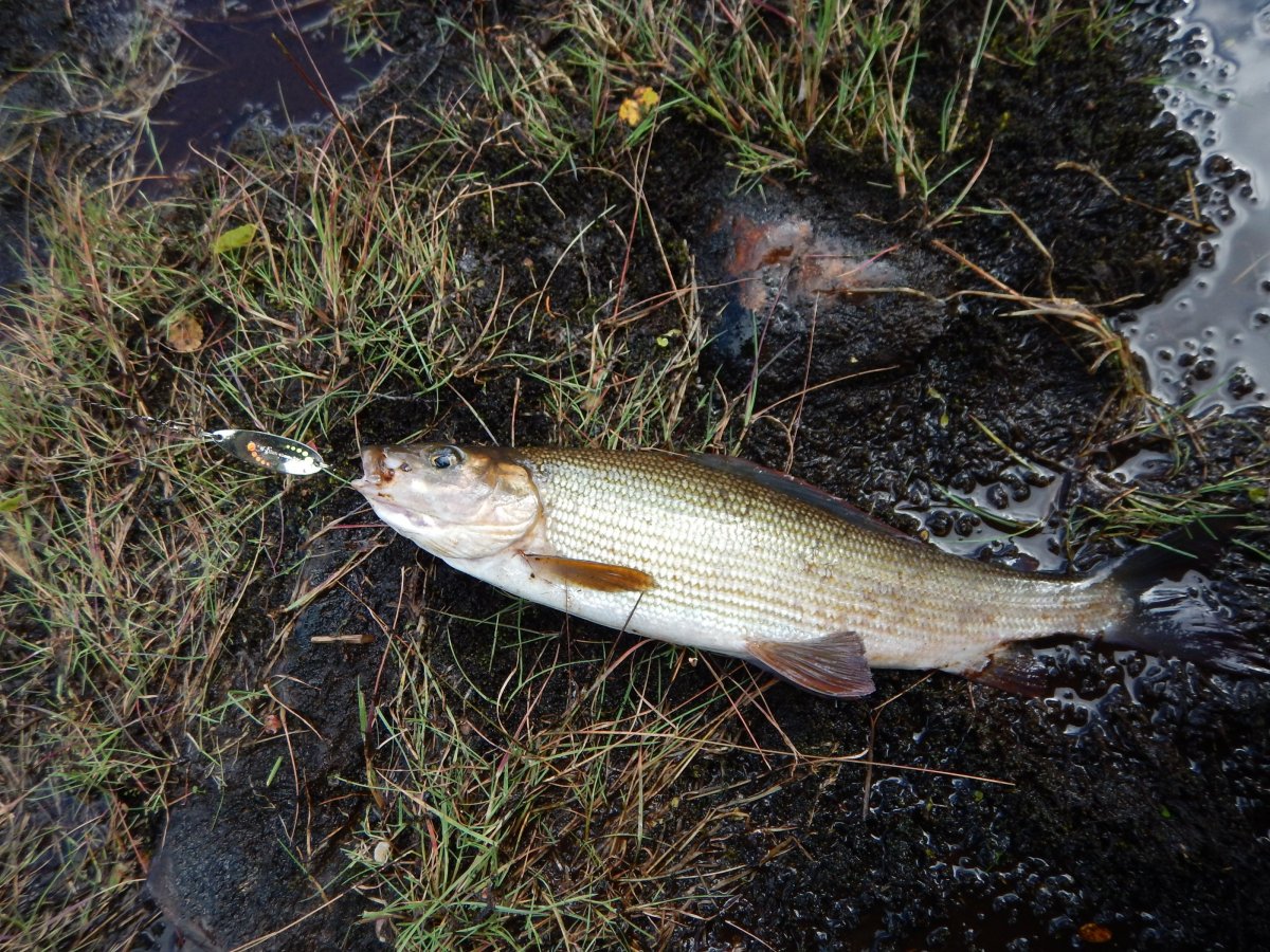DSCN3327.JPG