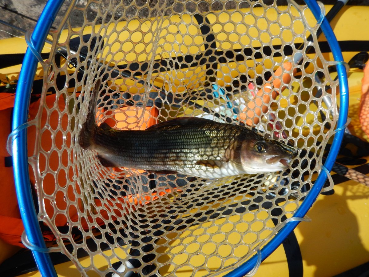 DSCN3330.JPG