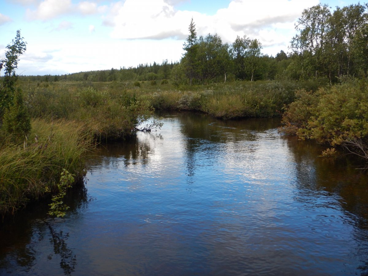 DSCN3333.JPG