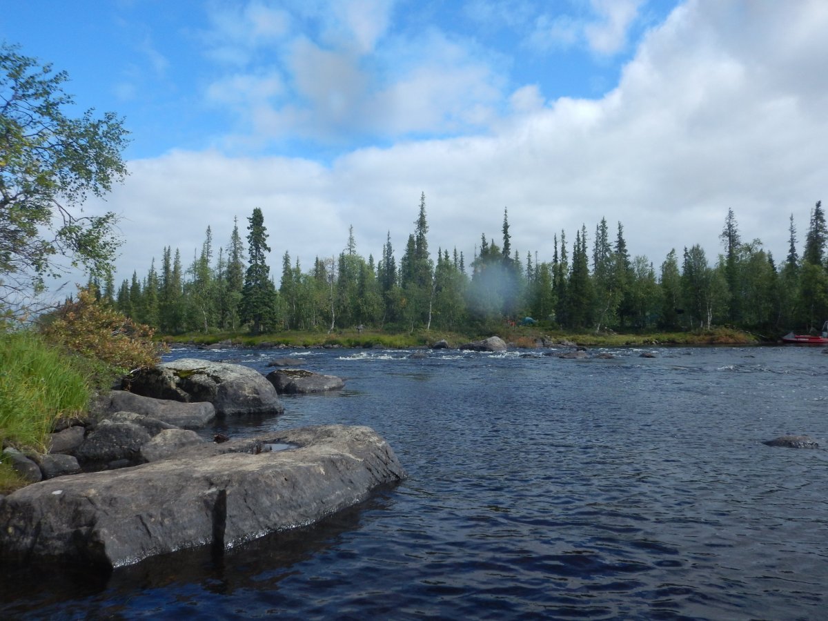 DSCN3447.JPG