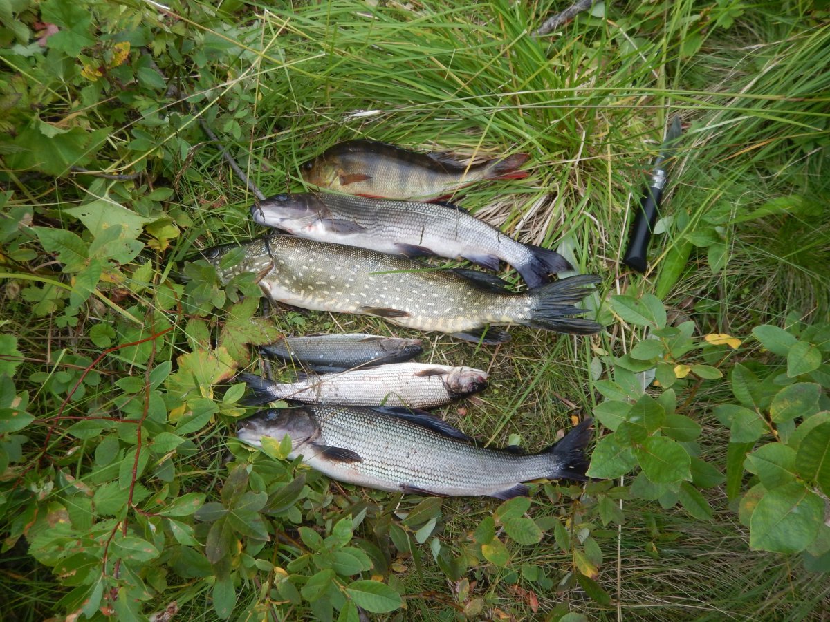 DSCN3453.JPG