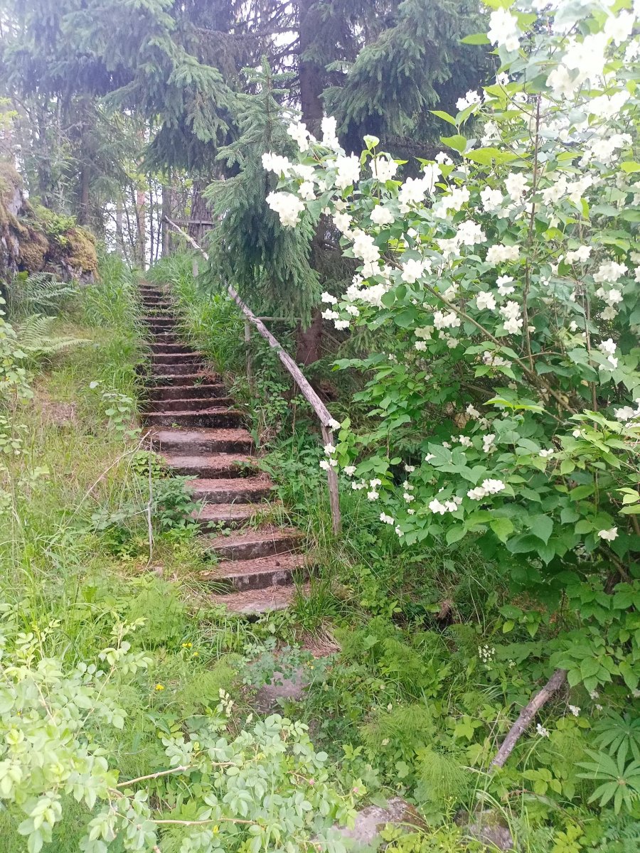 IMG20260628193937.jpg