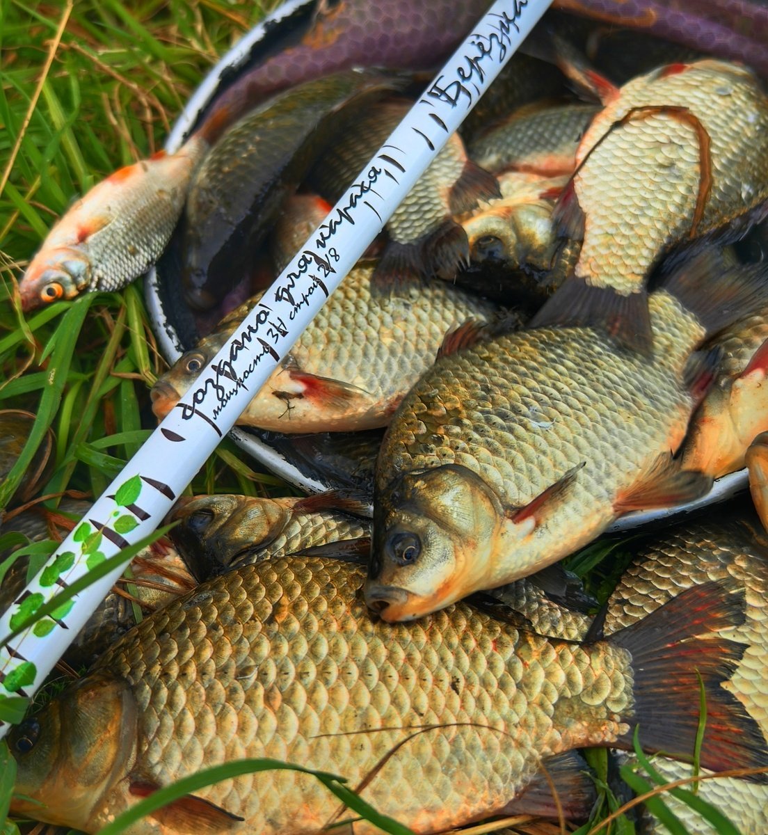 scale_1200.jpg