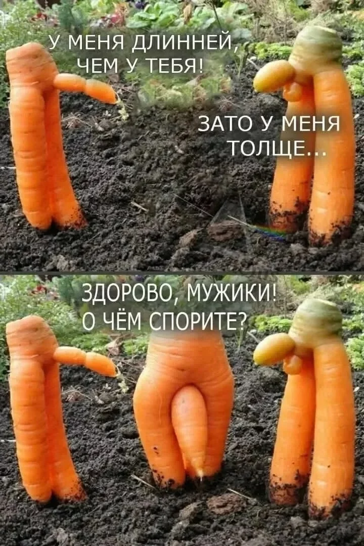 08m5_8eDo_wZi1r3RzyXD3LpJ_Y8stpAPhkW5_u2HvSb2E9g1En4DytpnmHSoJULkL-5UON5oQP15R38usCA7p4v.jpg.55ae5d8899707acf943c0d8d67fc4ee0.jpg