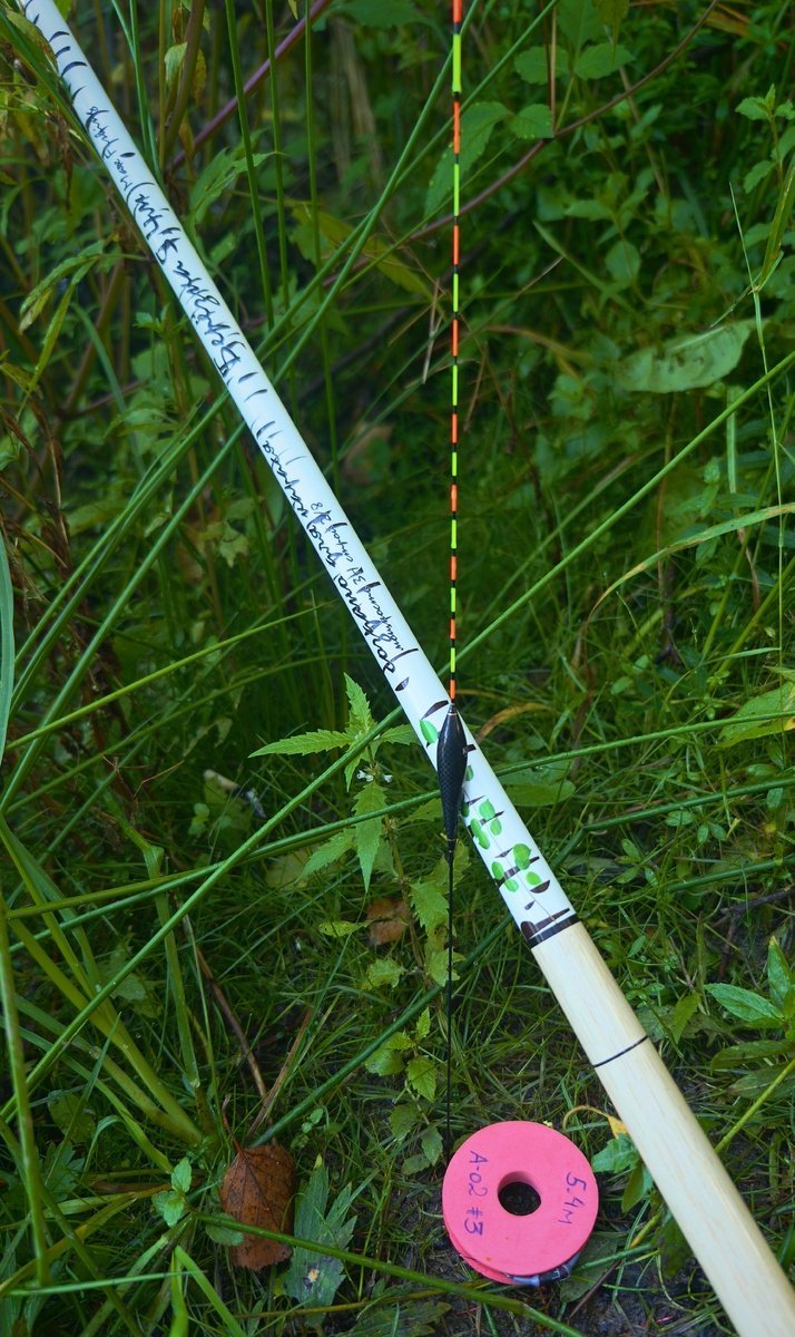 scale_1200 (70).jpg
