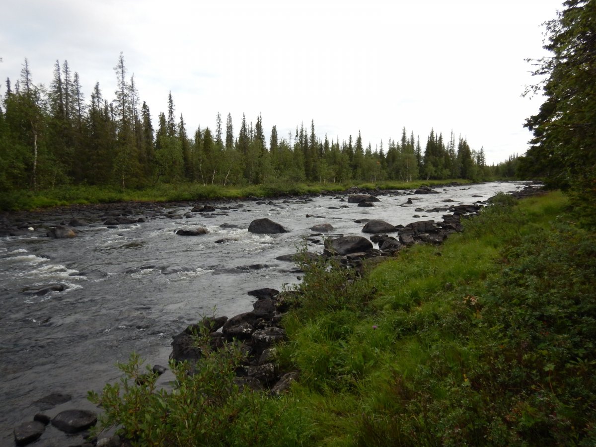 DSCN1887.JPG