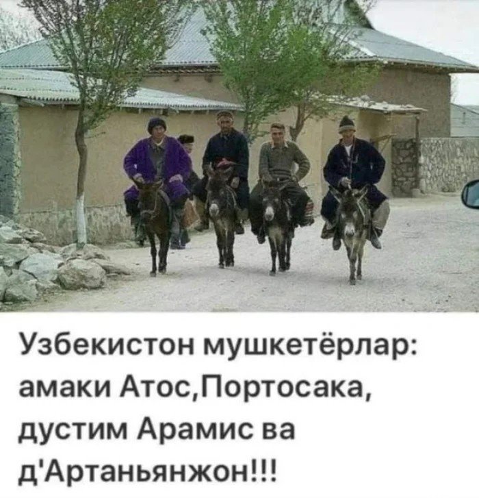 phtpayer.jpg.dc30dd1e9a5acb3545fb395c5c841a0f.jpg
