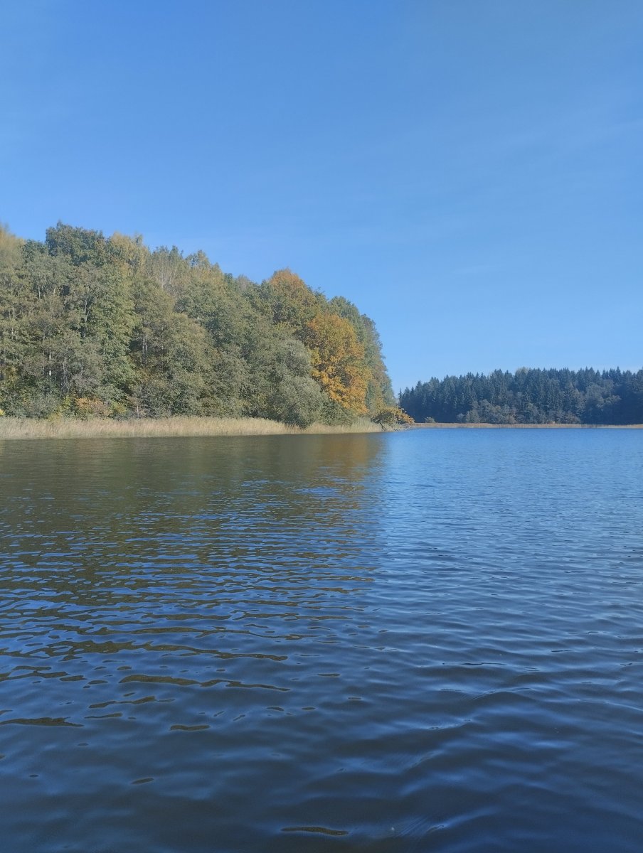 IMG_20261002_113849.jpg