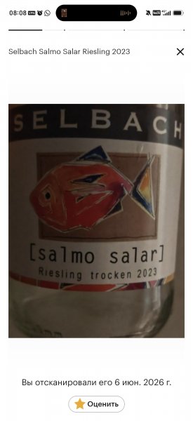 Рыбы и вино